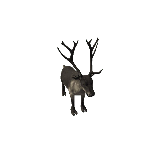 Reindeer_RM_FV_HP (Fur1)